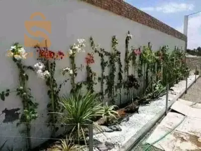 قسنطينة