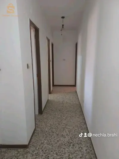 السبنيول