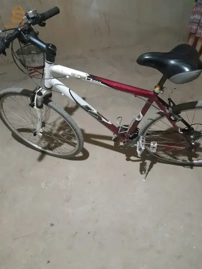 الحسنية شلف