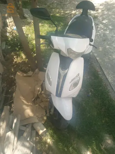 دلس بومرداس