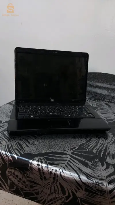 سطيف
