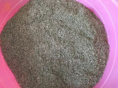 زعيترة جديدة  سلعة مشاء الله