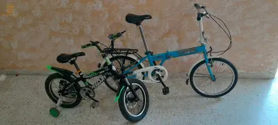 الكايتوس
