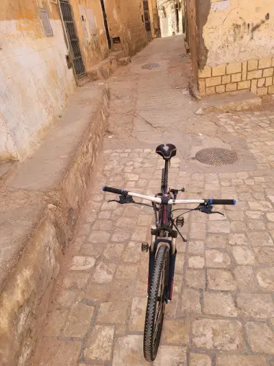فيلوا مشاء الله