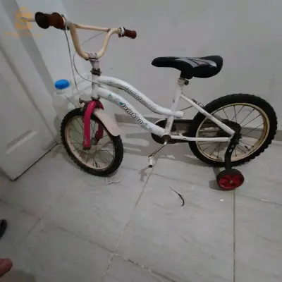 velo 16 bnat