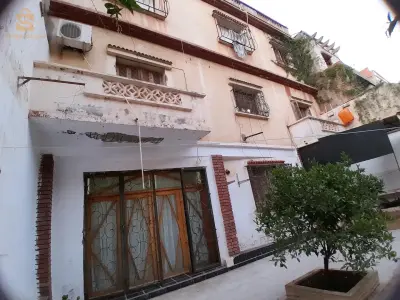 119 logts bir eldjir