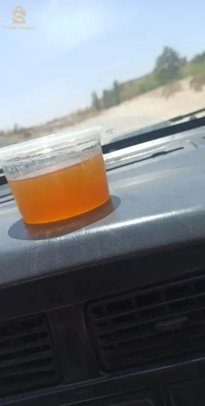 مسعد