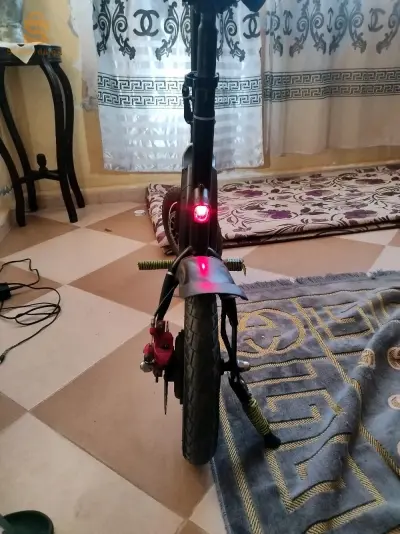 سكيكدة