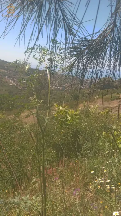 un terrain sur la route 71 d'une vue panoramique sur la mer 🌊