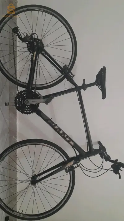 Giant