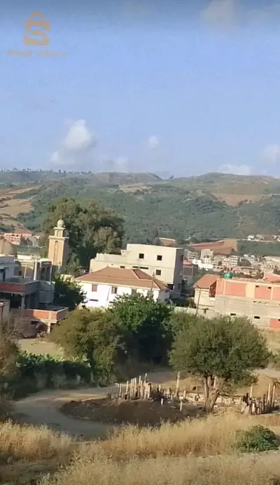 أولاد موسى ولاية بومرداس