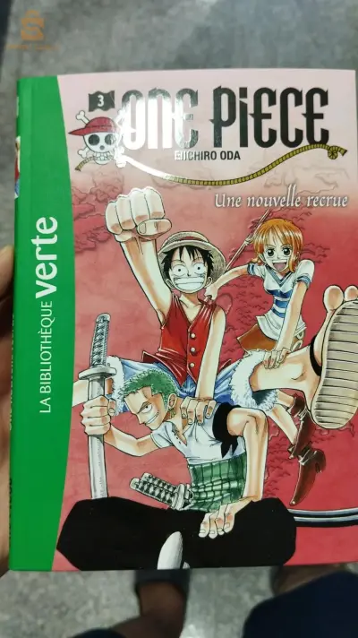 livre de l'histoire de one piece