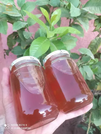بسكرة