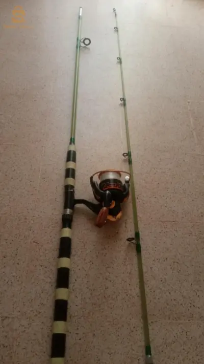 canne à pêche