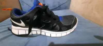 باسكات شابة حبة نقية 
original ✅️
