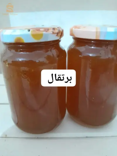 مسعد
