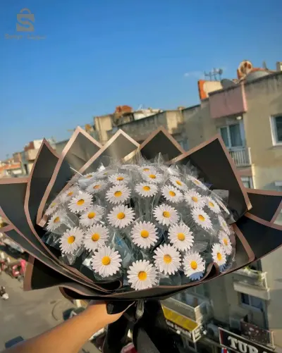 bouquet de roses
