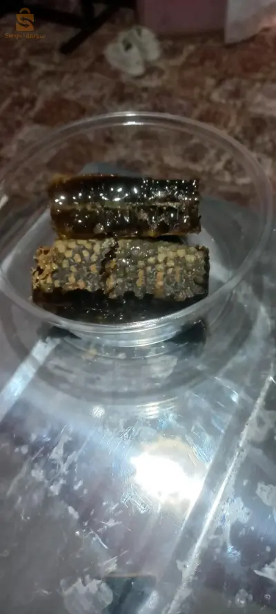 عين البرد