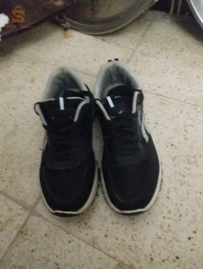قالمه