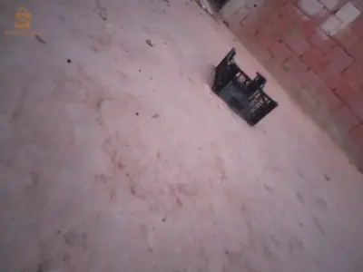 تيميمون