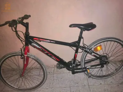 فيلو mtb30 نظيفة