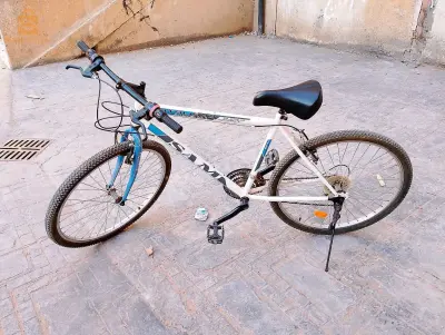 حي الوئام 1 تيسمسيلت