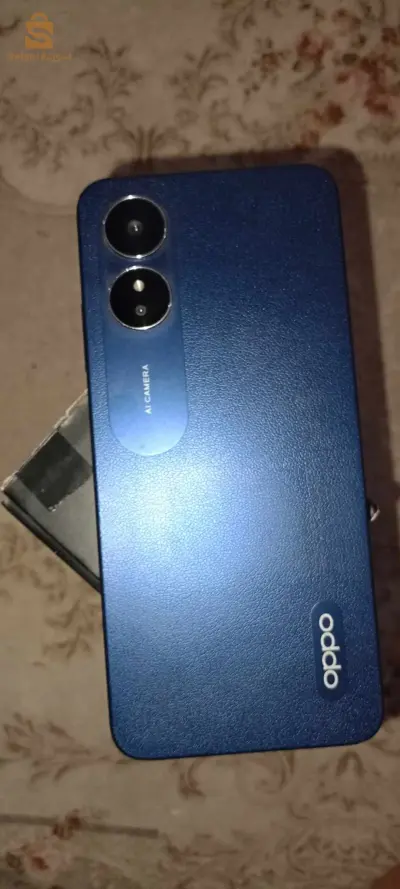 سطيف سطيف