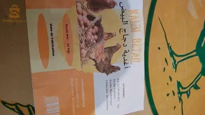 محمد قلعي