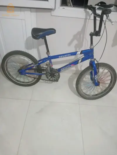 تيارت