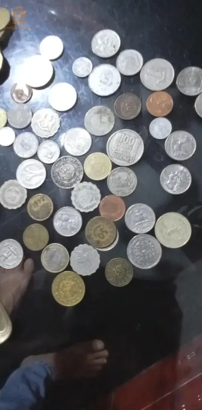 ام البواقي