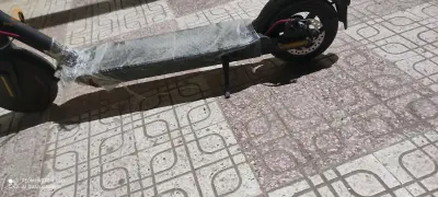 سكوتر
