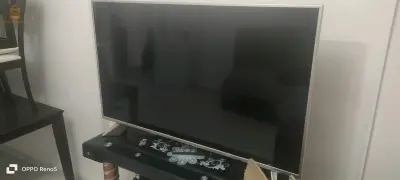تيارت