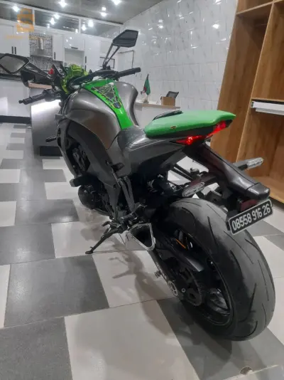 المدية