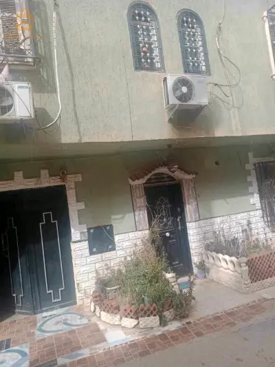 دان سبع