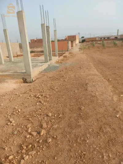 الكرانيف