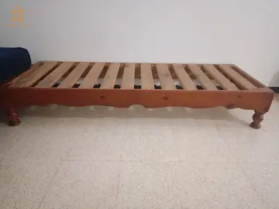 كانابيات