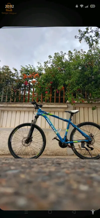 بليدة