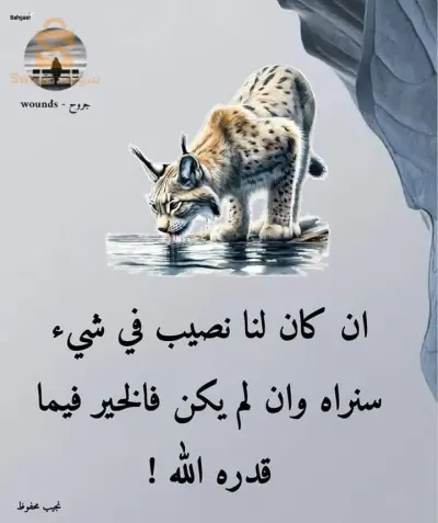 عين البضاء
