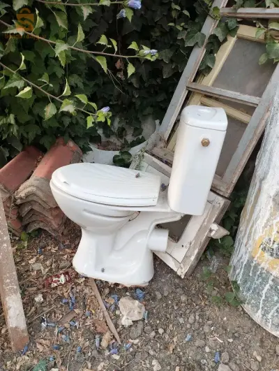 مرحاض انجليزي