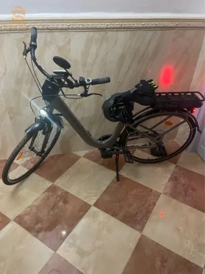 vélo électrique VAE Nakamura E Powerfit puissant