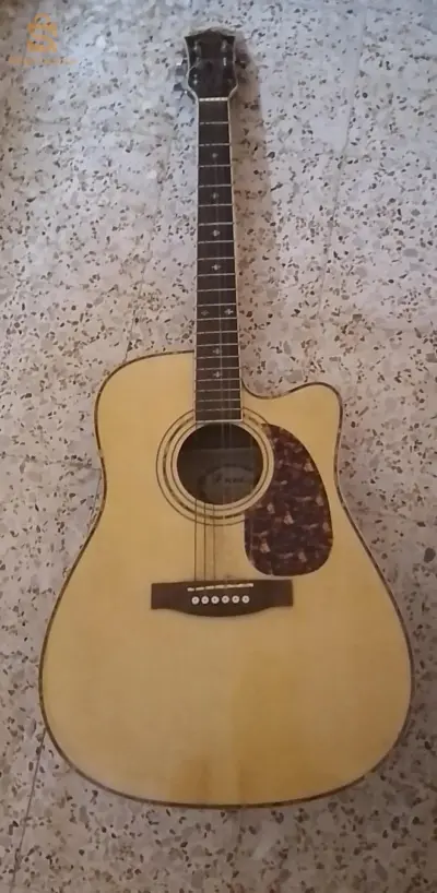 guitar electro accostique