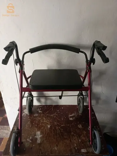 تيارت
