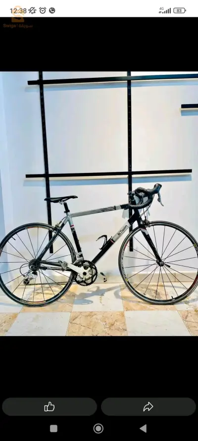 velo betwin