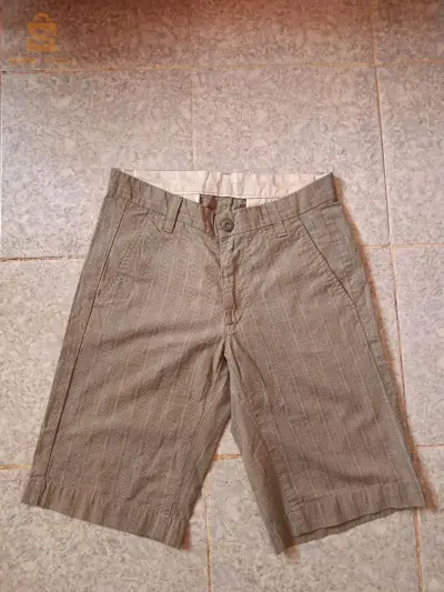 Carhartt Bermuda