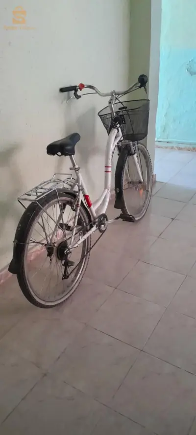 دراجة هوائية