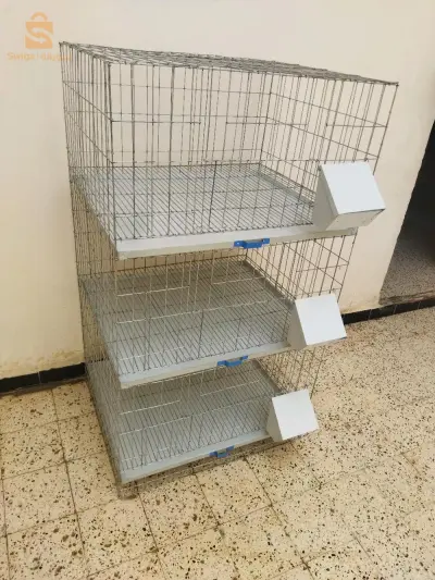 صنع بتريات الحمام والسمان