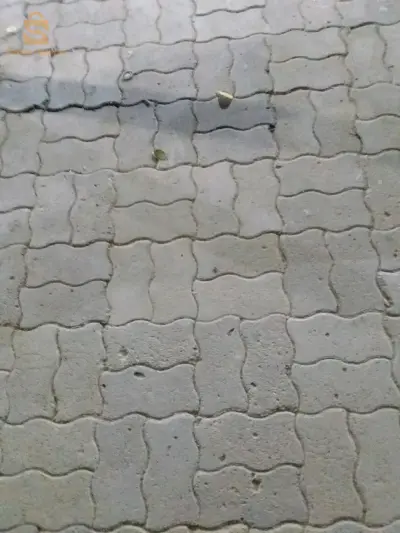 شقق ساحل