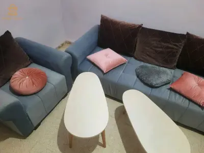 salon avec 2 tables basses