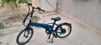 فيلو اليكتريك بصولحها دوريجين نقية مشاء الله