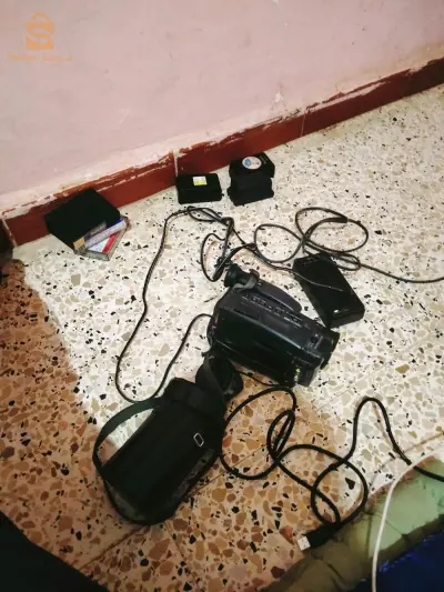 تيارت
